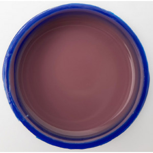 Touch liquid poligel 09, 15ml
